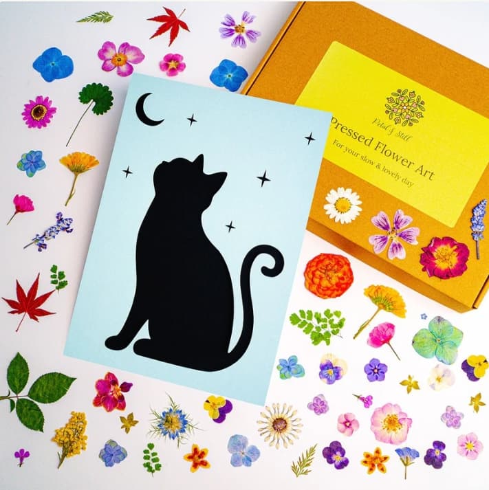Petal and Still personalized pet customization workflow for premium portrait orders
